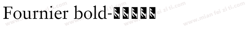 Fournier bold字体转换